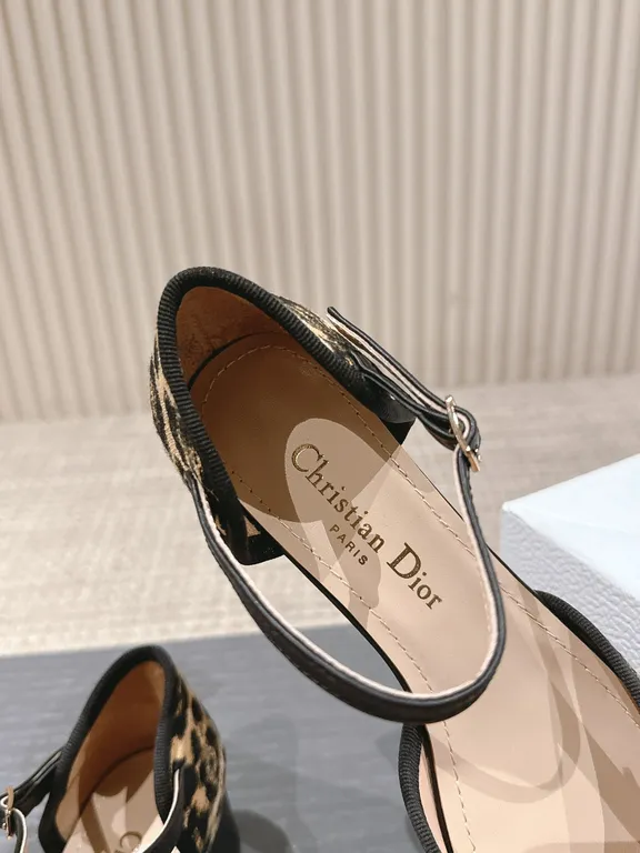 Dior Shoe 